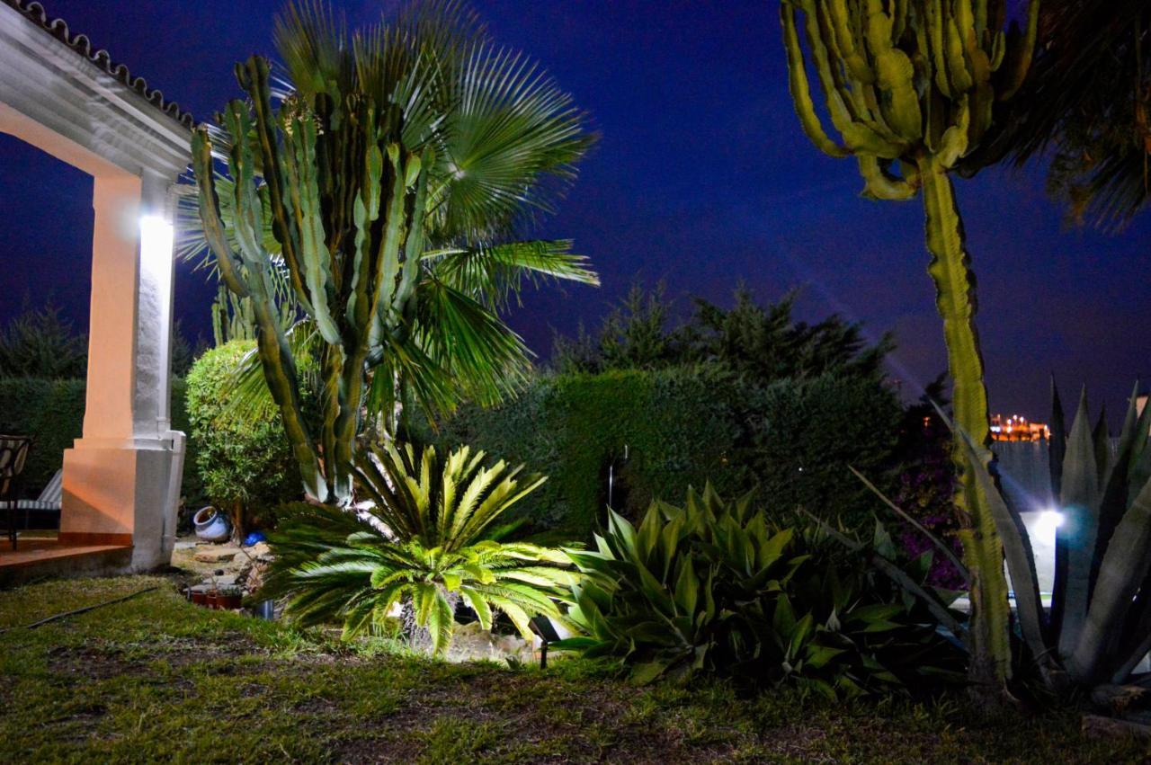 Villa Bendex Estepona Costa Del Sol Εξωτερικό φωτογραφία